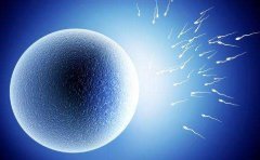 Hello IVF：子宫内膜分离可以做试管吗？